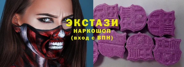 мдпв Гусев