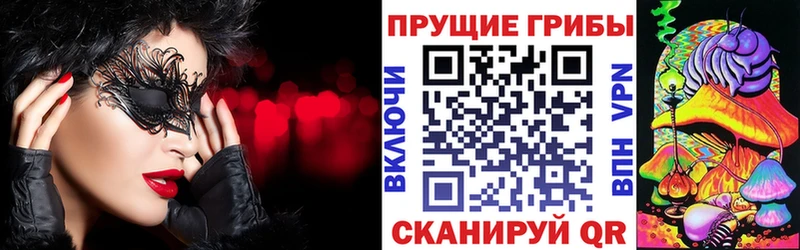 Купить закладки  Оленегорск  Галлюциногенные грибы мицелий 